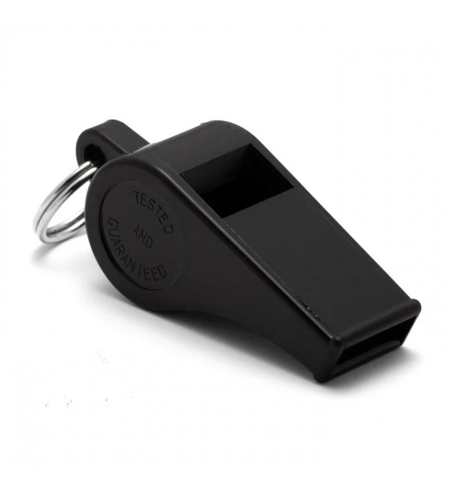 WHISTLE